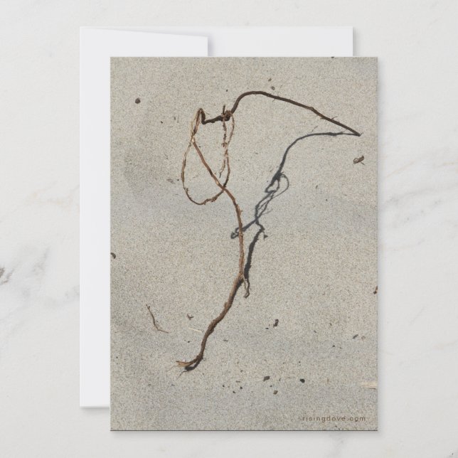 Tarjeta Roca Vitivinícola/Permanente, Playa de Cannon, Ore (Anverso)