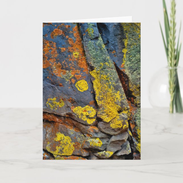 Tarjeta Rocas Cubiertas de Liquen (Anverso)