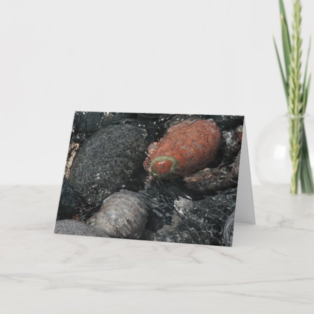 Tarjeta rocas y agua (Anverso)