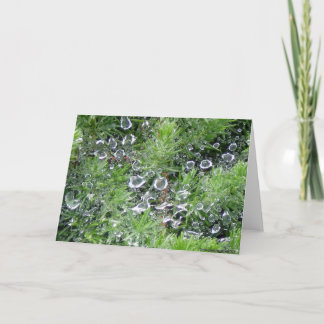 Tarjeta Rocío de la mañana