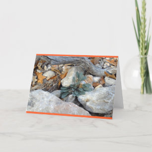 Tarjeta "Rock Art #5"