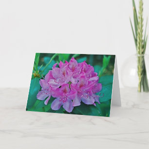 Tarjeta Rododendro
