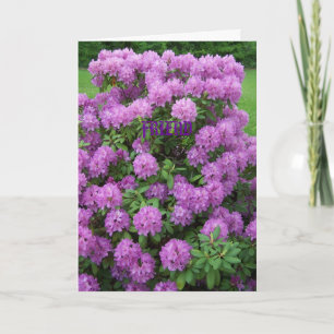 Tarjeta Rododendro, amigo