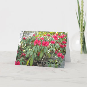 Tarjeta Rododendro rojo