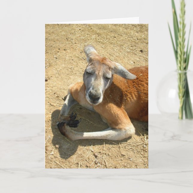 Tarjeta rogación del canguro (Anverso)