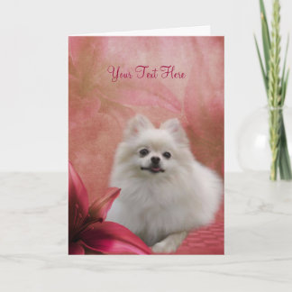 Tarjeta roja blanca de la foto del arte del perro