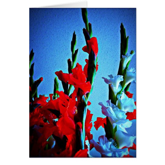 Tarjeta roja, blanca y azul de las flores