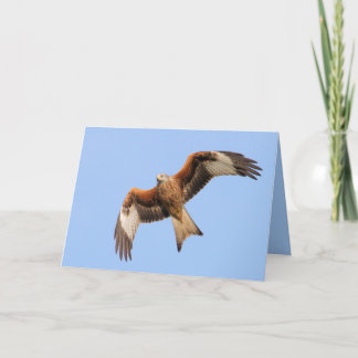 Tarjeta roja de la cometa