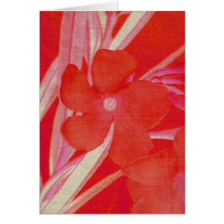Tarjeta roja de la flor