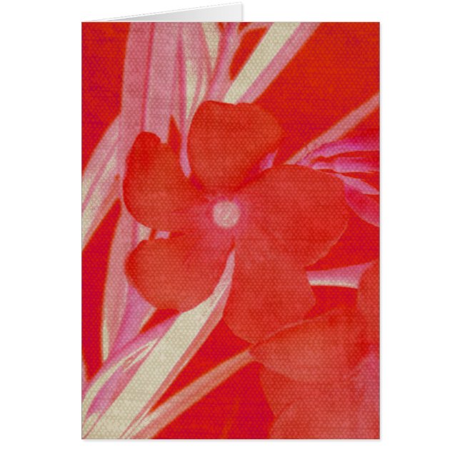 Tarjeta roja de la flor (Frente)
