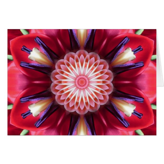 Tarjeta roja de la mandala de la estrella de la (Anverso (Horizontal))