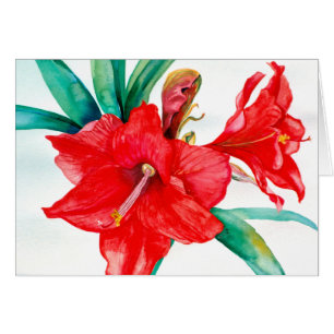 Tarjeta roja de PMACarlson Amarylis