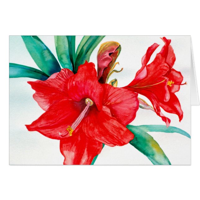 Tarjeta roja de PMACarlson Amarylis (Anverso (Horizontal))