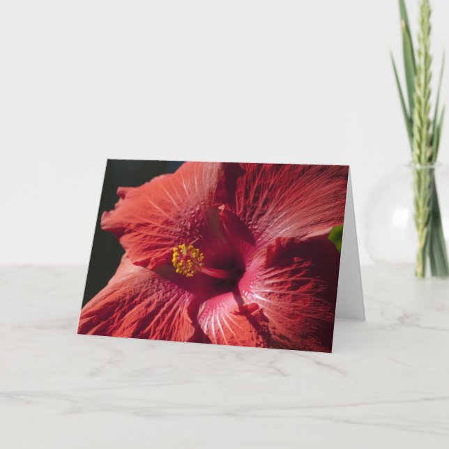 Tarjeta roja del hibisco (Anverso)