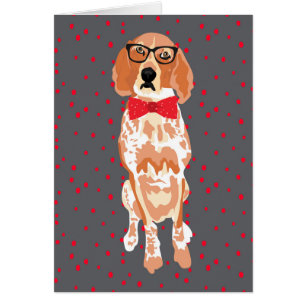 Tarjeta roja en blanco del Coonhound de la señal