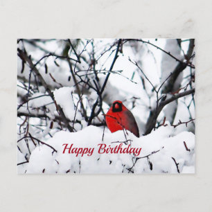 Tarjeta Roja Nieve Foto Cumpleaños
