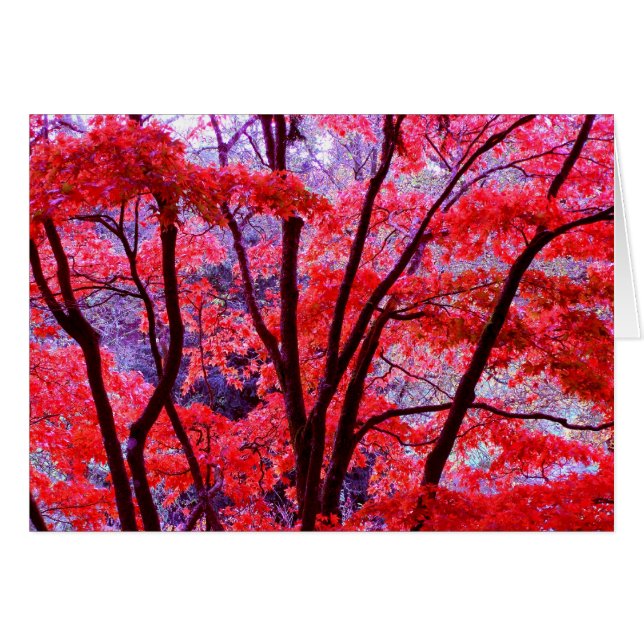 Tarjeta roja otoñal (Anverso (Horizontal))