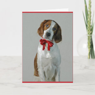 Tarjeta roja y blanca irlandesa del día de fiesta