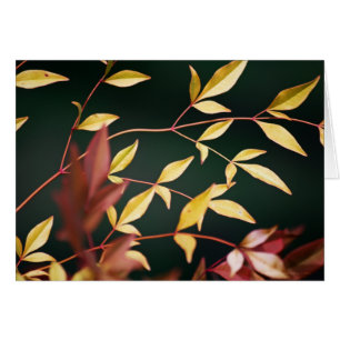 Tarjeta roja y dorada