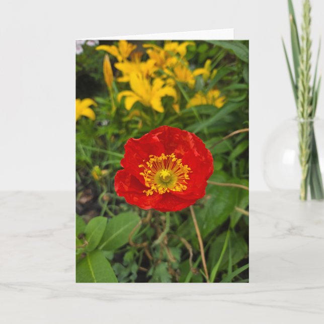 Tarjeta Rojo (Anverso)