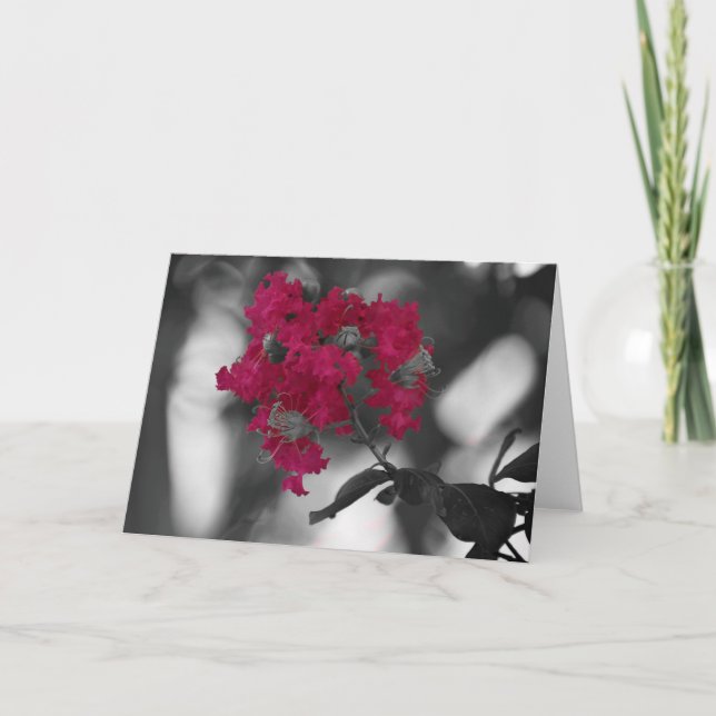 Tarjeta Rojo (Anverso)
