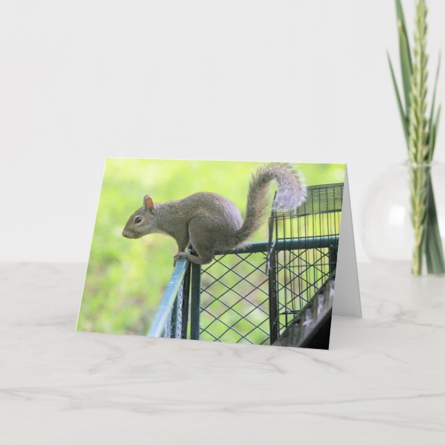 Tarjeta Rojo (Anverso)