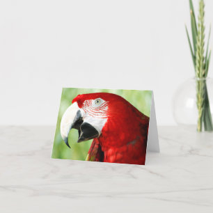 Tarjeta Rojo brillante