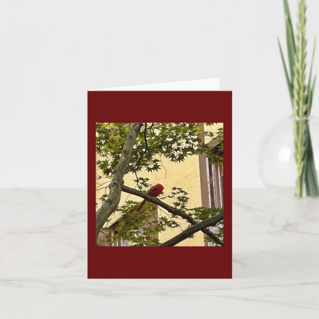 Tarjeta rojo cardinal (Anverso)