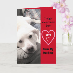 Tarjeta Rojo de perro de cachorro blanco, El día de San Va