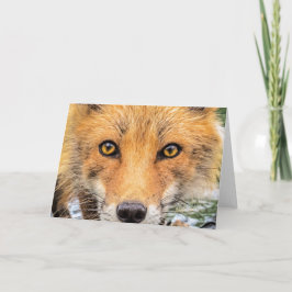 Tarjeta Rojo Fox Face - Ojos