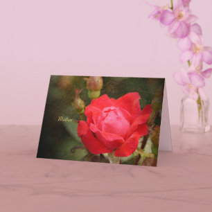Tarjeta Rojo, rosa rojo para la madre