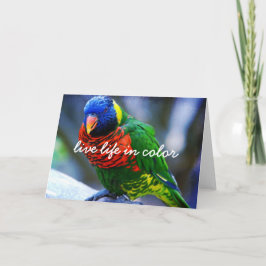 Tarjeta Rojo Verde Azul Bird Vida Viva En Color Script Neg