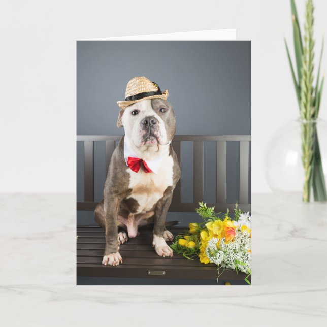 Tarjeta Romance (Anverso)