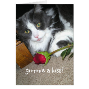 Tarjeta romántica para los besos de Kitty