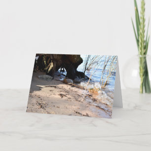 Tarjeta Rompedores, vida en la playa