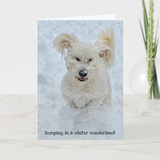 Tarjeta Romping Dog en una festividad de invierno (Anverso)