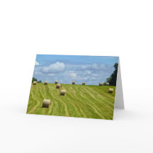 Ronda de Hay Bales en la Colina - I