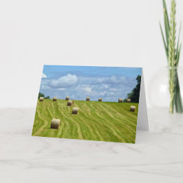 Tarjeta Ronda de Hay Bales en la Colina - I