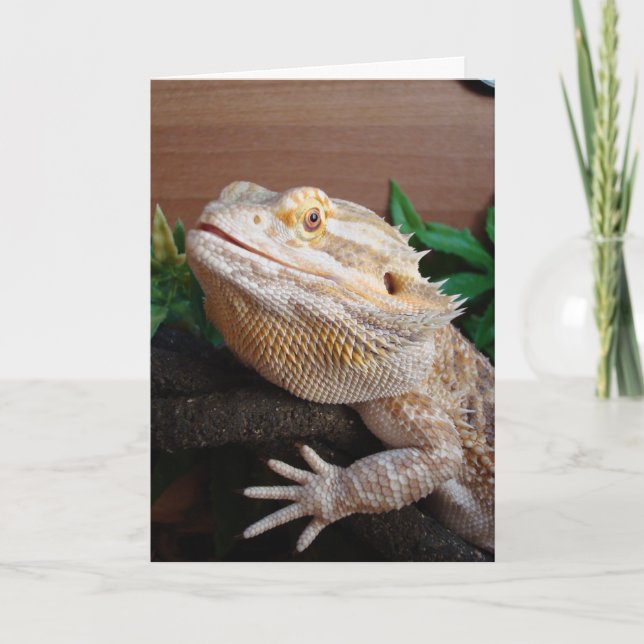 Tarjeta Ronnie (Anverso)