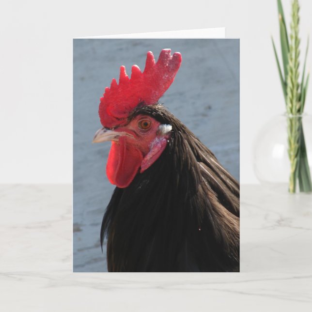 Tarjeta Rooster de Lakenveller (Anverso)