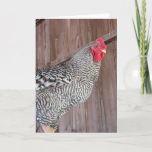 Tarjeta Rooster de Rock Barred