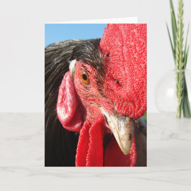 Tarjeta Rooster Face (Anverso)