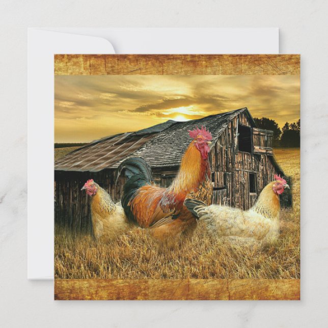 Tarjeta Rooster Vintage Hens Rustic Barn Coop (Anverso)