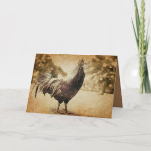 Tarjeta Rooster Vintage Photo