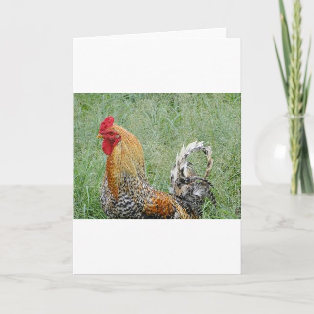 Tarjeta Roosters (Anverso)