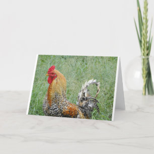 Tarjeta Roosters