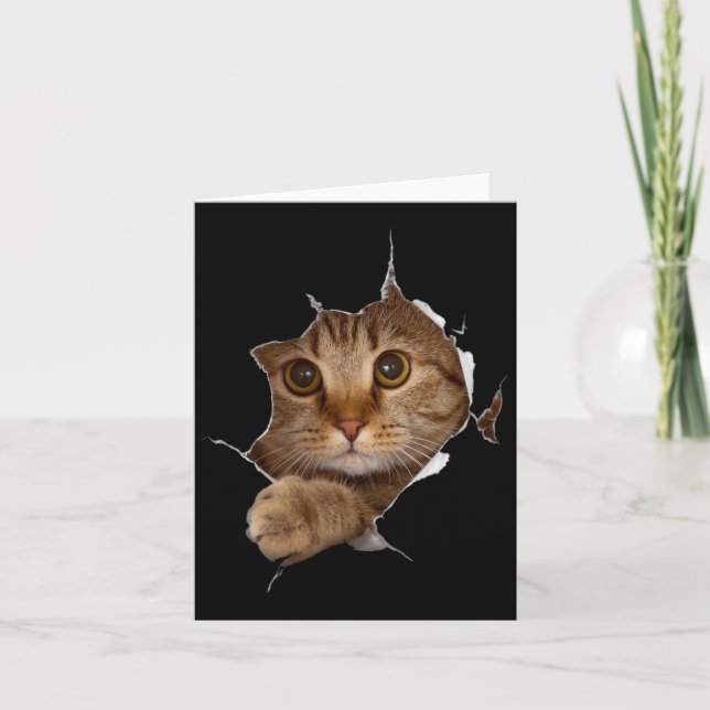 Tarjeta Ropa de felino dulce desgarrada - Grasa divertida  (Anverso)