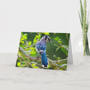 Tarjeta Ropa y regalos de fotografía de la naturaleza del