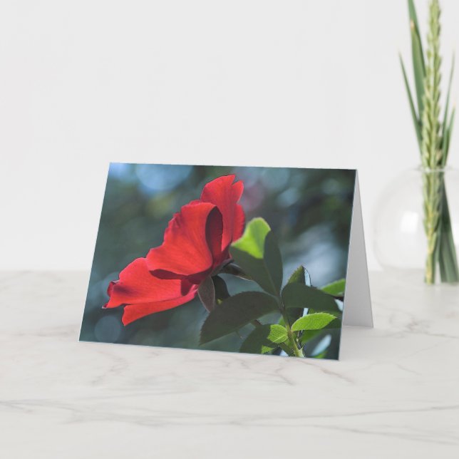 Tarjeta Rosa (Anverso)