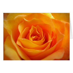 Tarjeta Rosa
